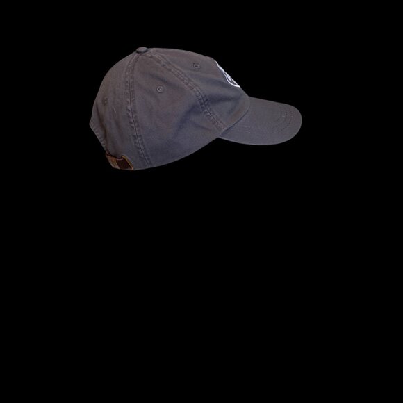 Birds' Aren't Real Unisex Adult Embroidered Adjustable Dad Hat Charcoal Adams - Picture 4 of 8